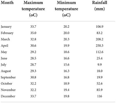 Greenhouse gas emissions in irrigated paddy rice as influenced by crop management practices and nitrogen fertilization rates in eastern Tanzania
